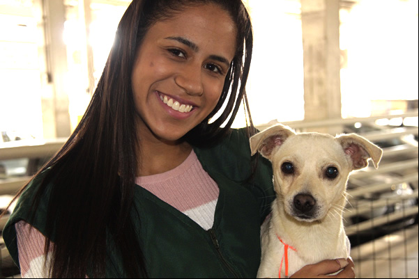 Big shopping realiza mais um evento de adoção de cães e gatos