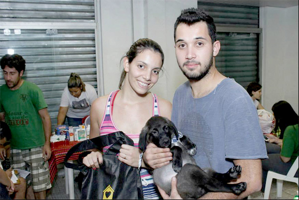 Cães e Gatos aguardam por um novo lar