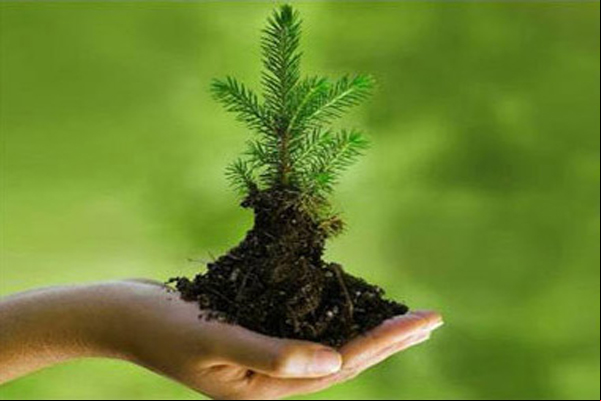 BH oferece atividades de educação ambiental