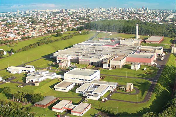 Grupo BRF é investigado por omitir presença de salmonela em carnes
