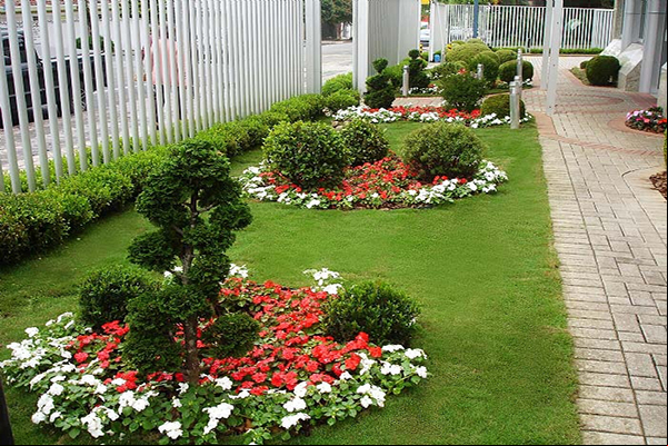 Repelentes naturais podem ser cultivados no jardim