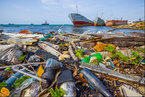 Poluição do plástico é desafio para Dia Mundial do Meio Ambiente