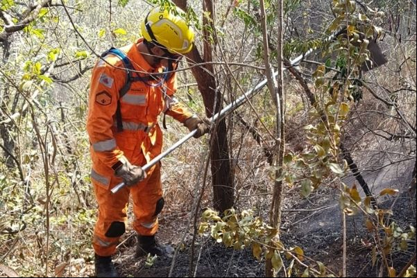 Incêndio no Parque das Mangabeiras é controlado