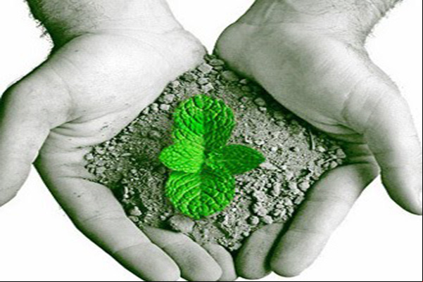 4ª Pré-Conferência de Meio Ambiente acontece na quinta-feira