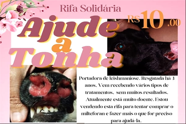 Rifa solidária para tratamento da Tonha