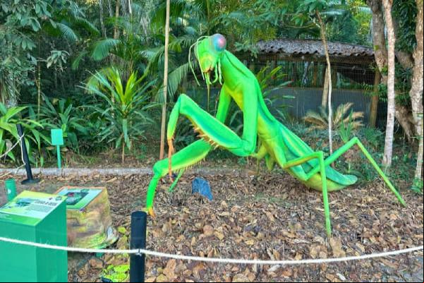 Exposição interativa Natureza Gigante chega a Contagem