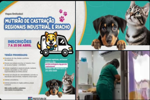 Abertas as inscrições para Mutirão de Castração no Industrial e Riacho