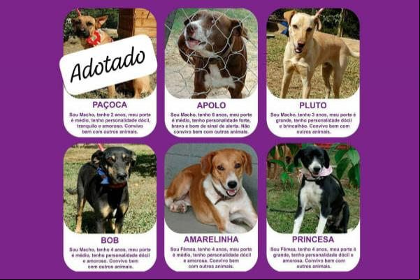 Adote um amigo e transforme muitas vidas!