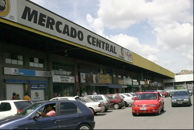 ONG Cão Viver faz campanha de adoção 