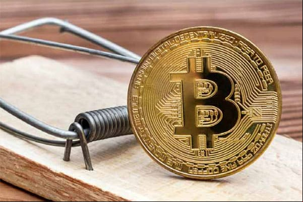 No Dia do Consumidor, Polícia Civil lança cartilha sobre criptomoedas 