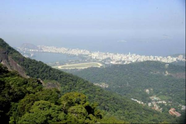 Estudo mostra regeneração de trechos da Mata Atlântica em nove estados