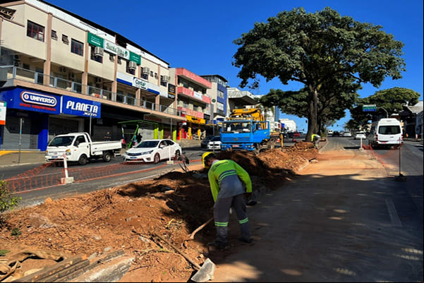 Prefeitura suprime onze árvores, entre elas, seis ipês e cinco palmeiras