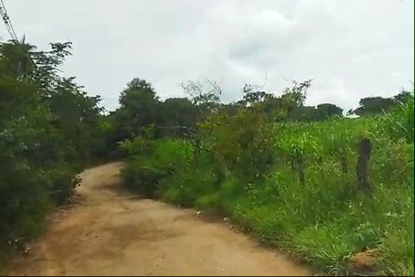 SOS Vargem das Flores repudia asfalto em área rural