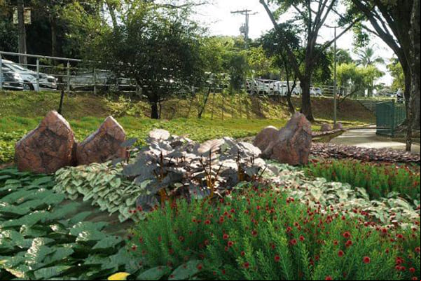 BH lança Programa Adote um Jardim de Chuva com desconto no IPTU