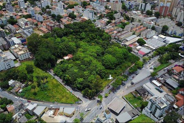 População se mobiliza para preservar Mata do Jardim América