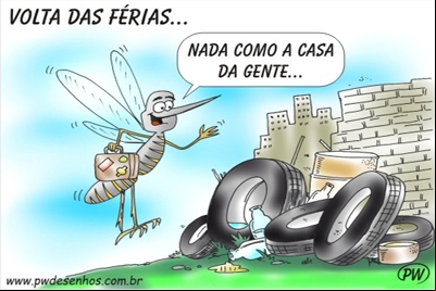 Chuva e dengue, tudo a ver