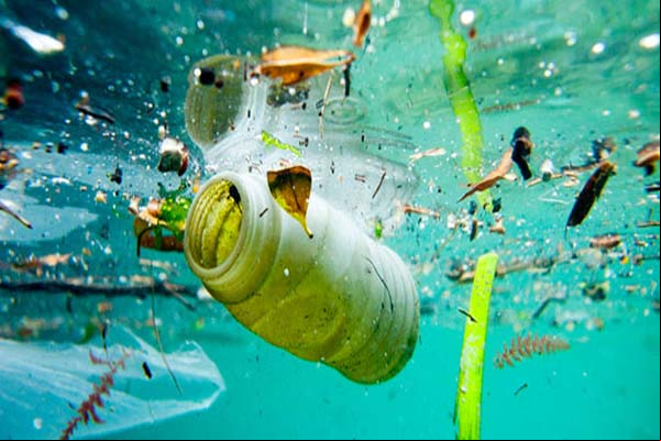 Cerca de 80% dos resíduos encontrados nos oceanos vêm das cidades