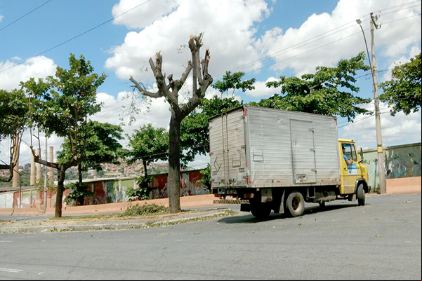 Podas deixam árvores quase sem folhagem no Cidade Industrial