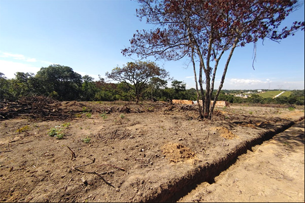 Grilagens e loteamentos irregulares colocam em risco áreas verdes de Contagem
