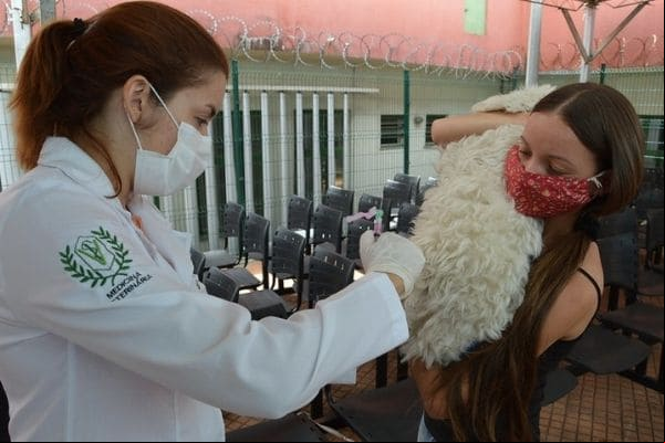 Vacinação antirrábica segue sendo realizada em Contagem