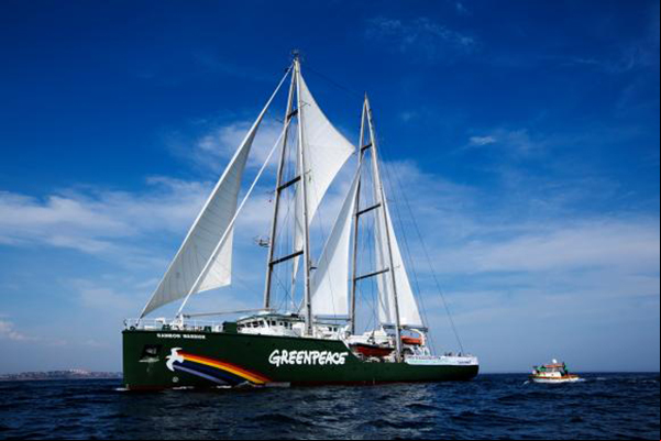 Greenpeace comemora 25 anos no Brasil e abre navio a visitação popular
