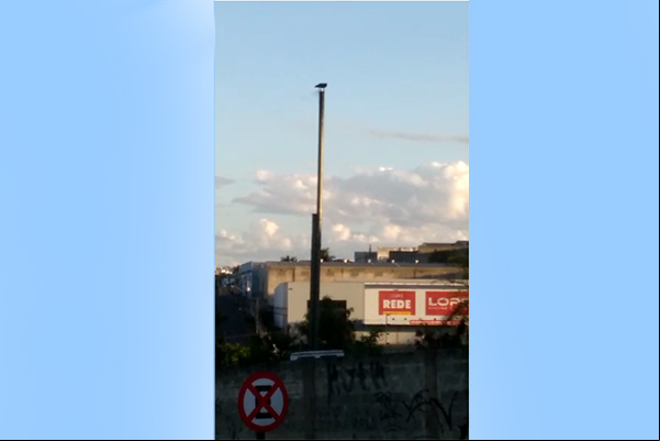 Moradores voltam a reclamar de incineradora de lixo hospitalar