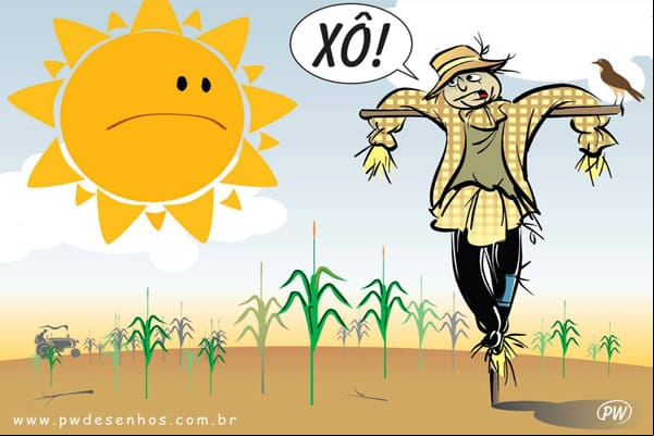 Verão, um sol para cada um