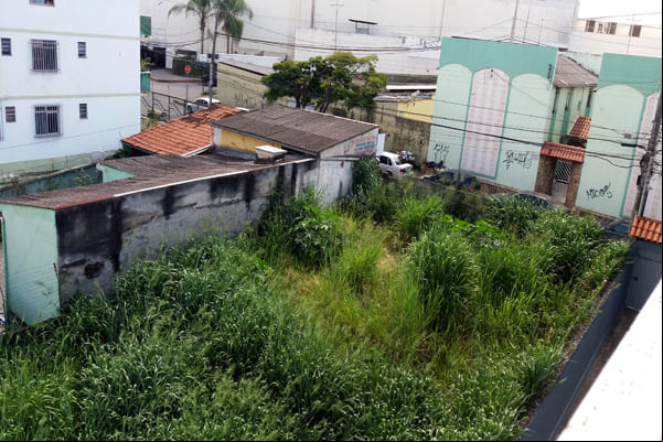 Temendo a dengue, moradores reclamam de lote vago