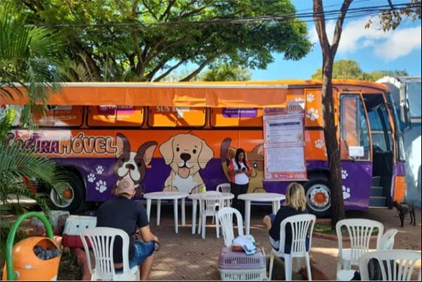 Castrações em cães e gatos acontecem na Regional Sede 