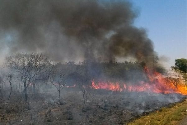 Incêndio de grandes proporções atinge Parque do Ibitipoca