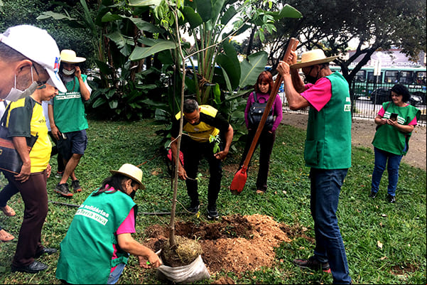 Vem aí “Tempo de Plantar” em Contagem