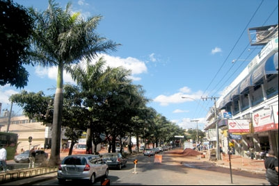 Vereador sai em defesa das arvores da Avenida João César.