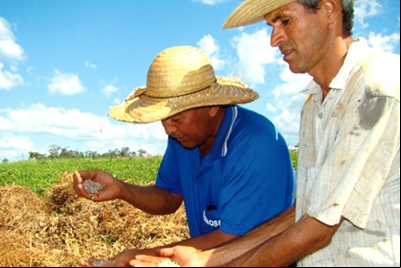 Ministério do Meio Ambiente aceita novo prazo para regularização rural