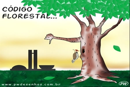 A esperança é verde