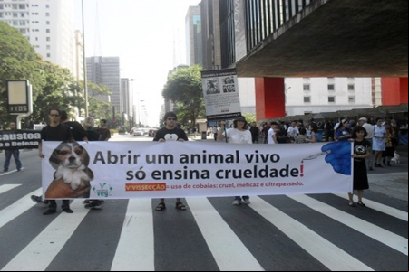 Ongs saem às ruas para defender animais