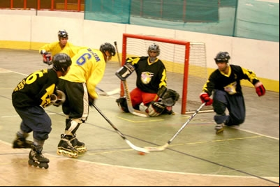 Vipers é novamente campeão mineiro de Hocky In Line.