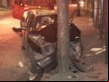 Motorista desgovernado bate em árvore