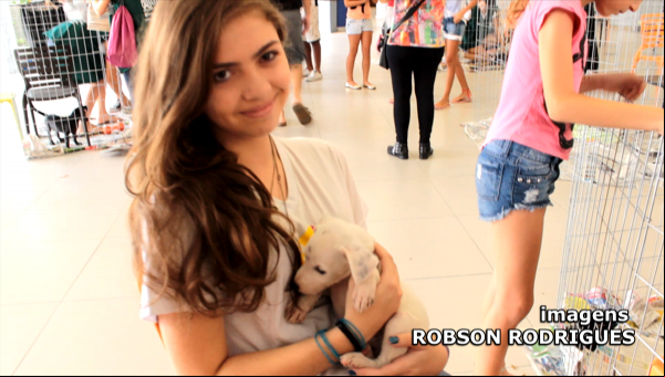 Evento de adoção une protetores dos animais e estudantes