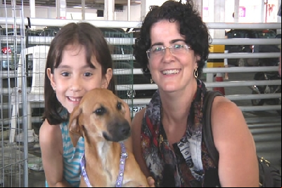 EVENTOS DE ADOÇÃO TENTAM RESGATAR CÃES E GATOS DAS RUAS DE CONTAGEM